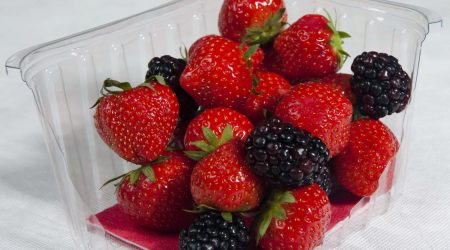 Compostable absorbent fruit pads
