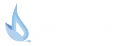 Sirane Footer Logo